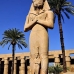 temple_karnak_lux_v_0542_egy3513.jpg